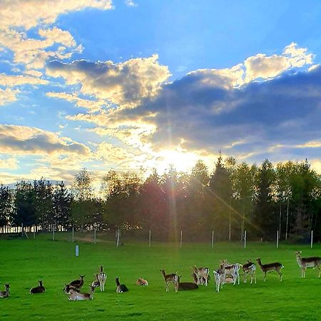 Przystan Nad Zatoka - Gospodarstwo Agroturystyczne Lubieszewo  エクステリア 写真