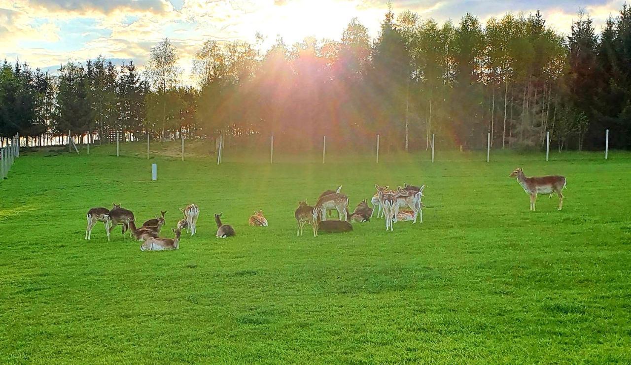 Przystan Nad Zatoka - Gospodarstwo Agroturystyczne Lubieszewo  エクステリア 写真