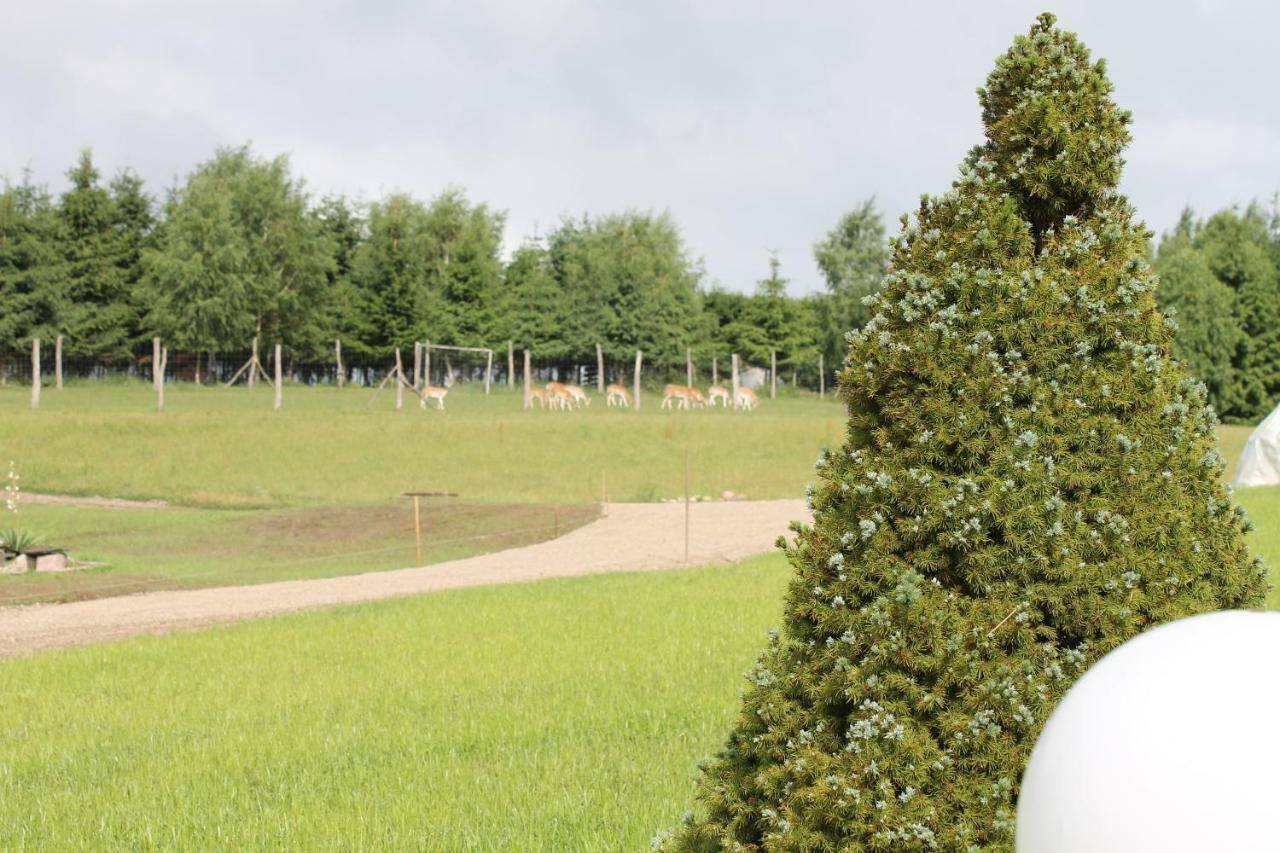 Przystan Nad Zatoka - Gospodarstwo Agroturystyczne Lubieszewo  エクステリア 写真